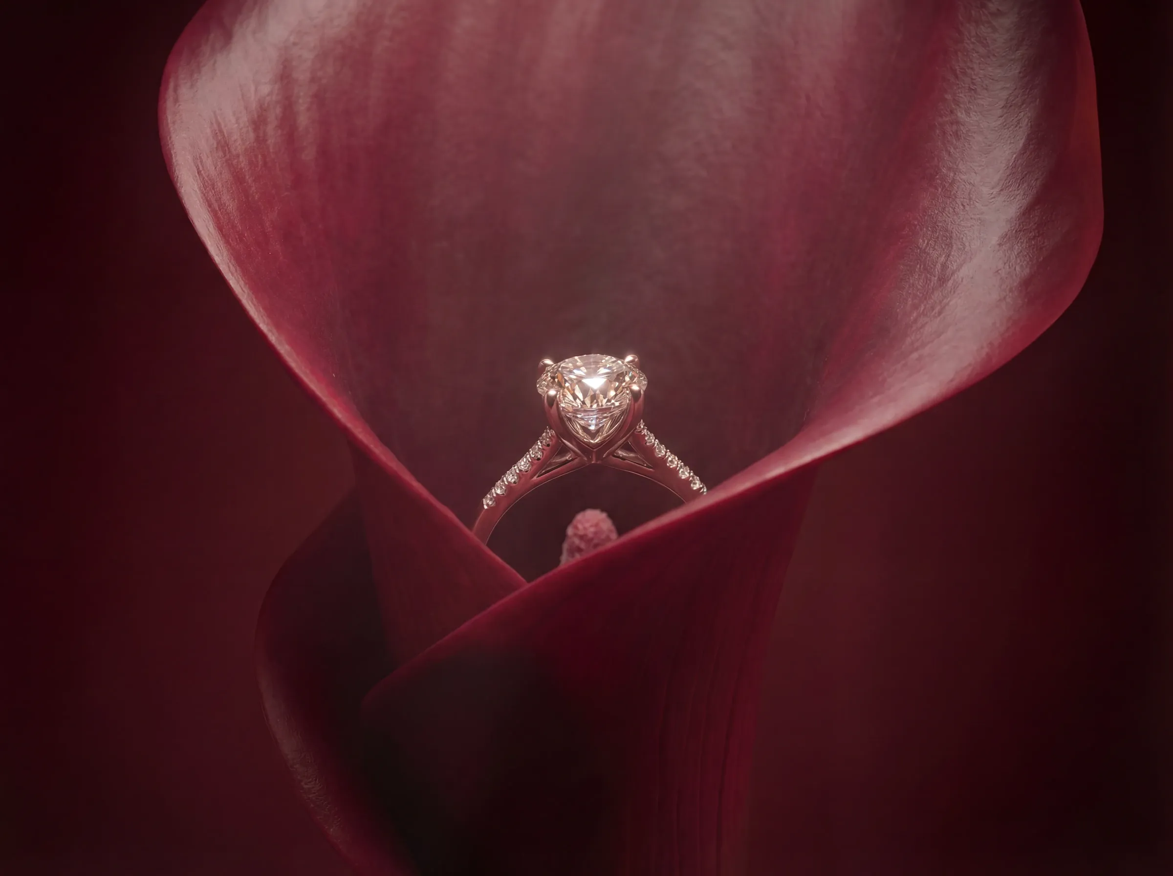 Jewellery campaign visual expressing a distinct design language and aesthetic direction