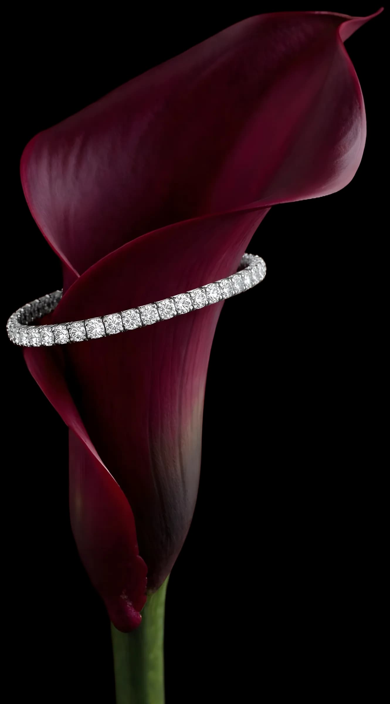 Image joaillerie lifestyle recadrée pour le social et le paid media