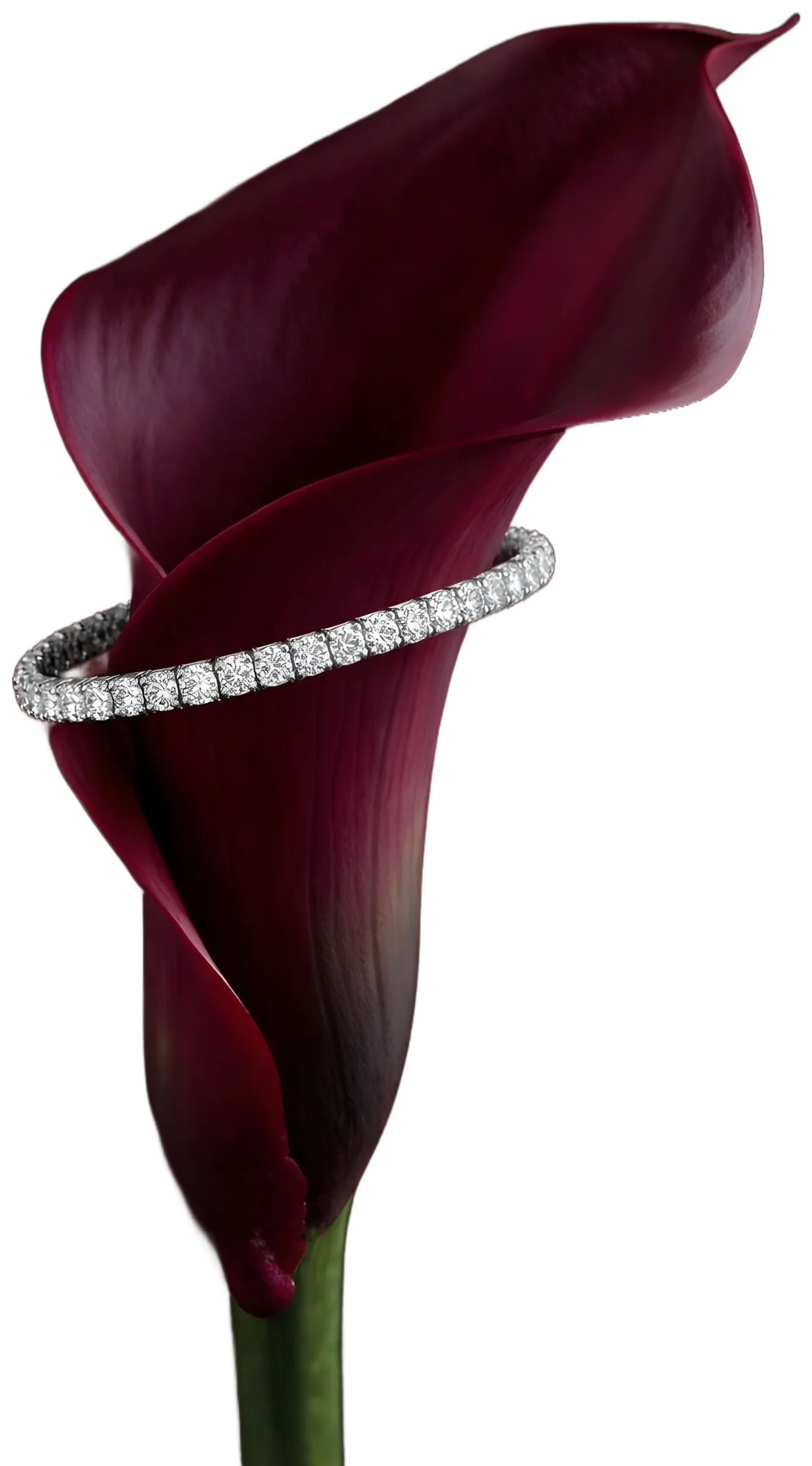 Designer portfolio example 3