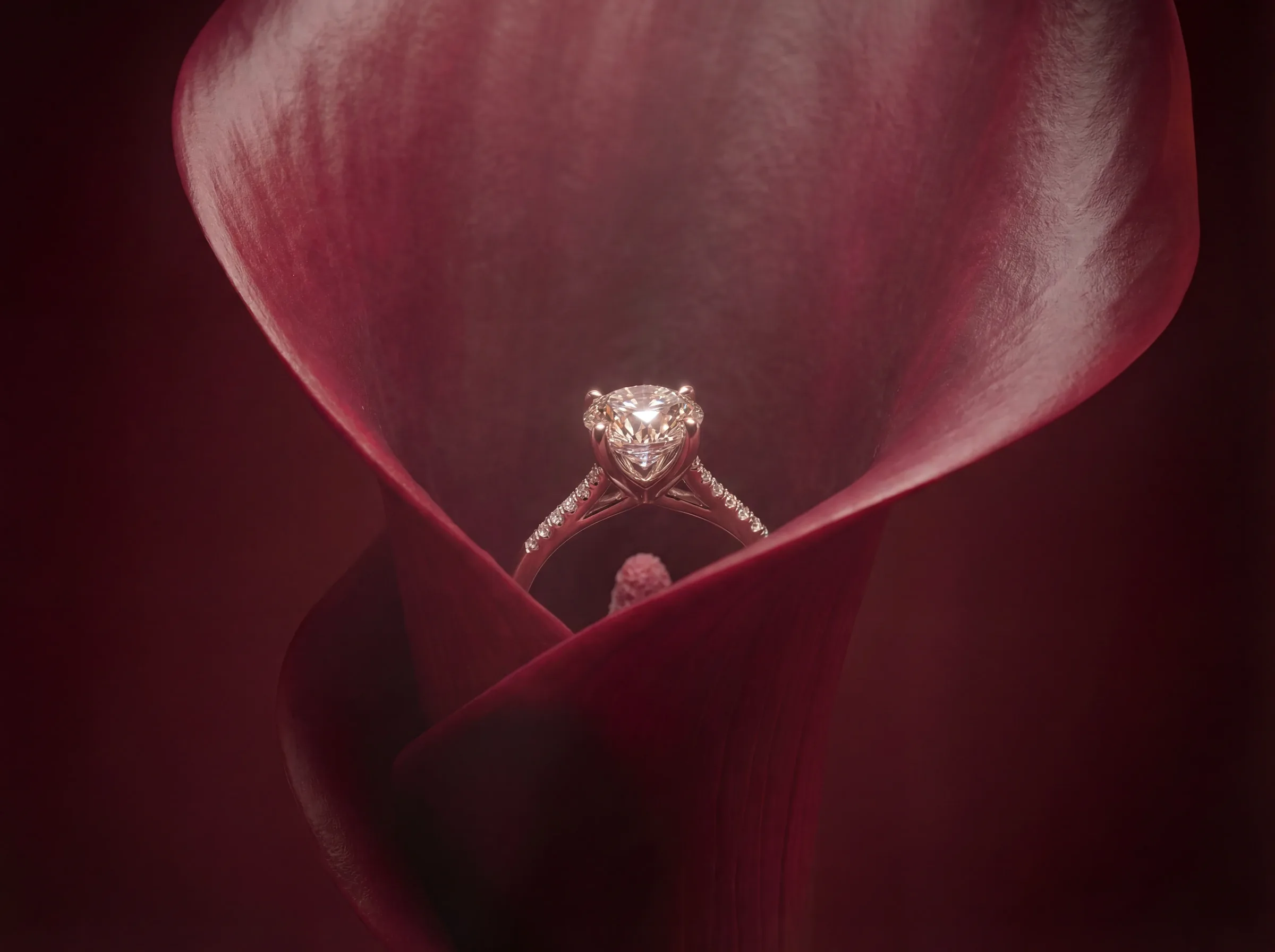 Canova output example 2