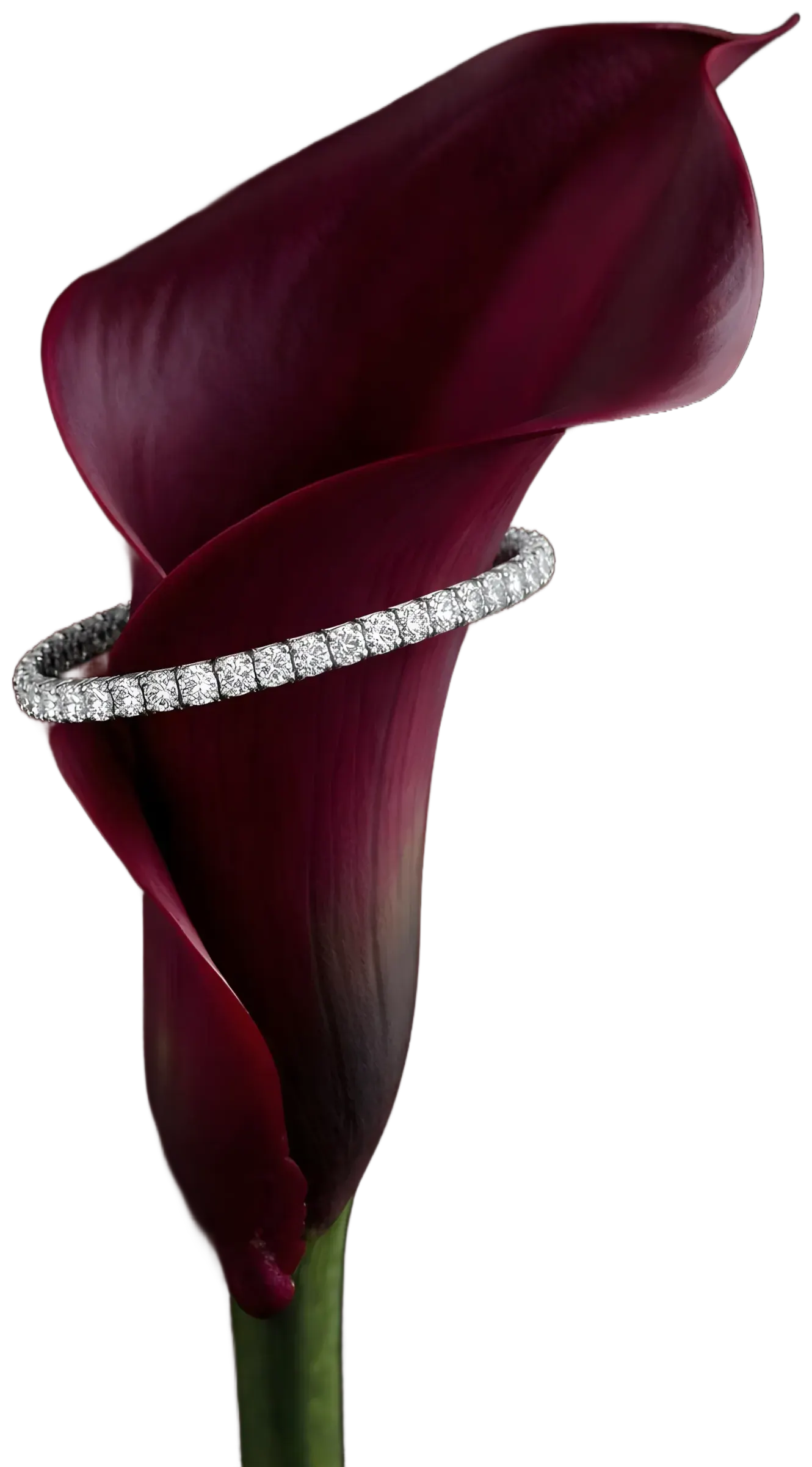 Bracelet rivière de diamants autour d'un arum sombre, en visuel lifestyle